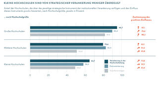 Kleine Hochschulen von strategischer Verankerung weniger überzeugt