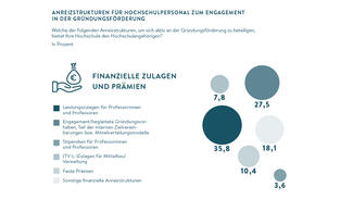 Anreizstrukturen für Hochschulpersonal zum Engagement in der Gründungsförderung (Grafik)
